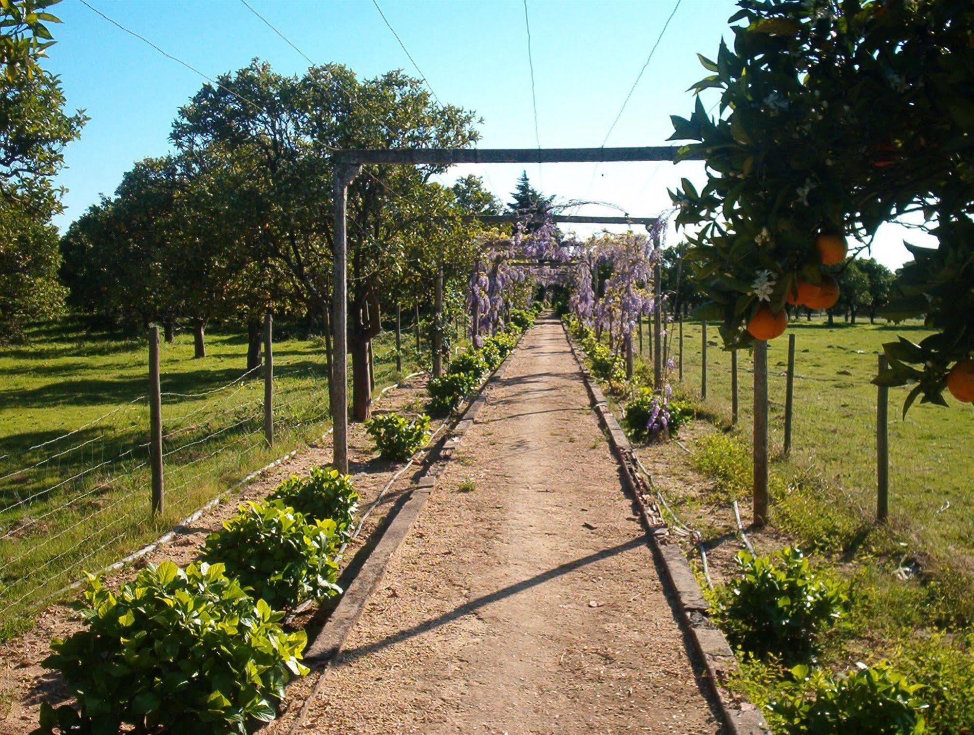 Quinta Do Casalinho Almeirim Exterior foto